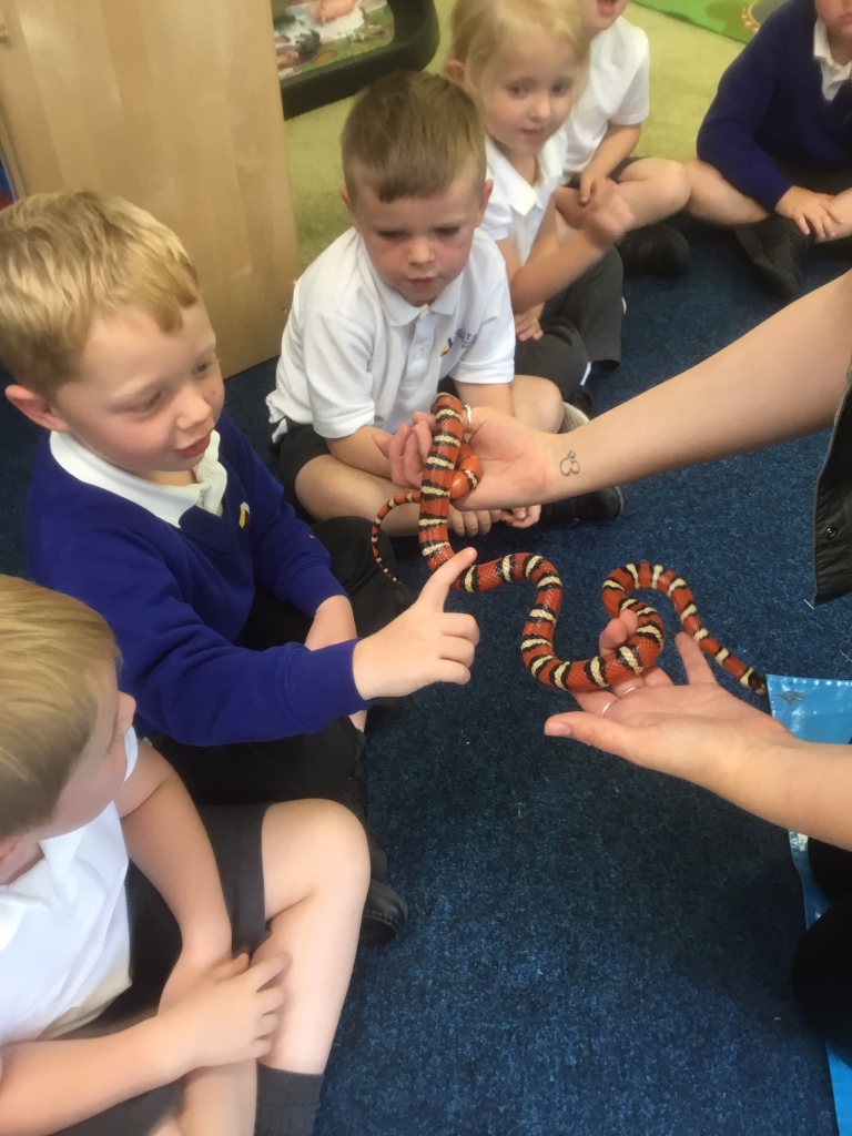 Animal Handling East Garforth Primary Academy